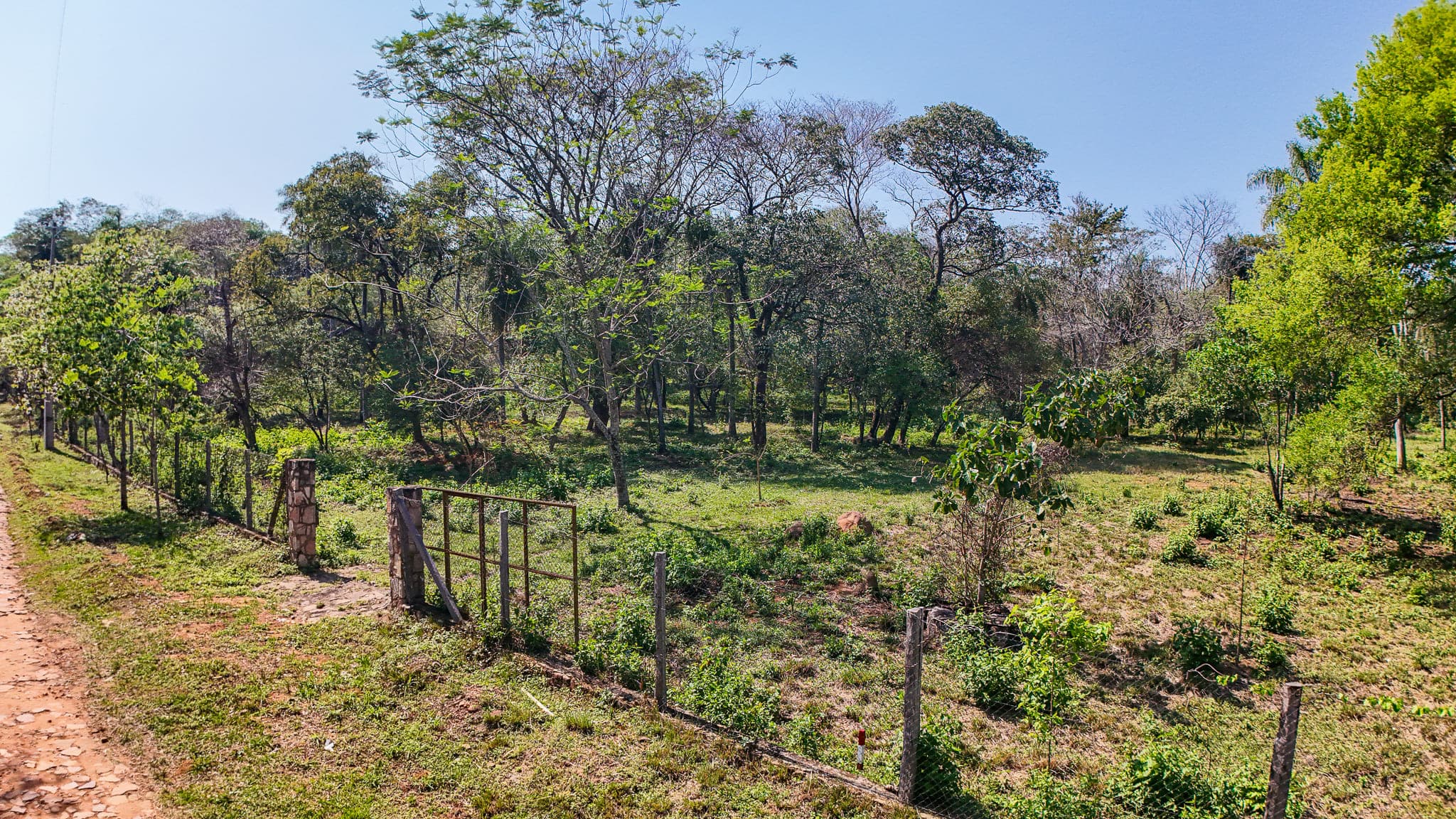 VENDO LOTES A METROS DE LA RUTA LUQUE - SANBER · 8