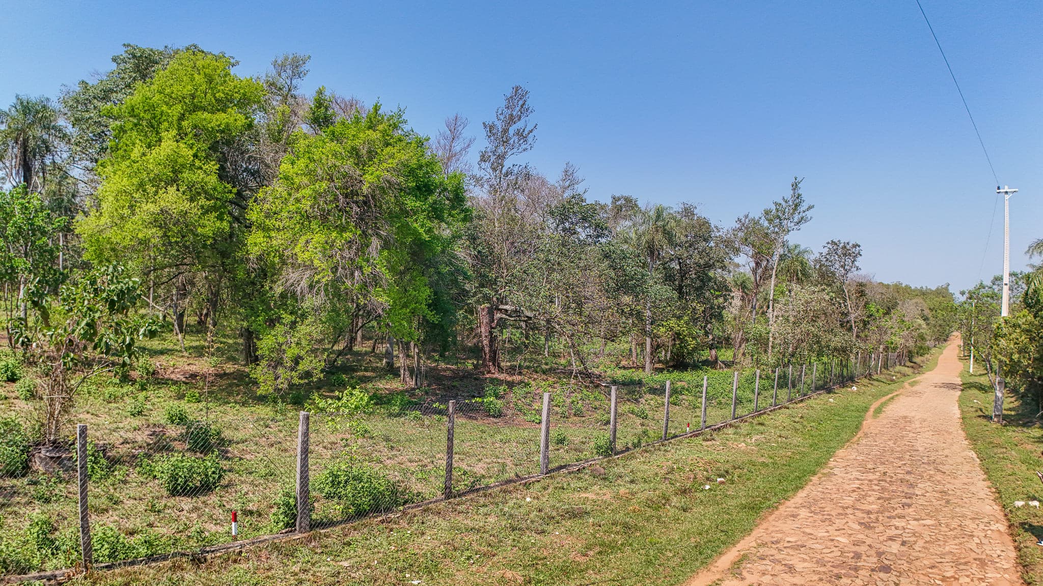 VENDO LOTES A METROS DE LA RUTA LUQUE - SANBER · 12